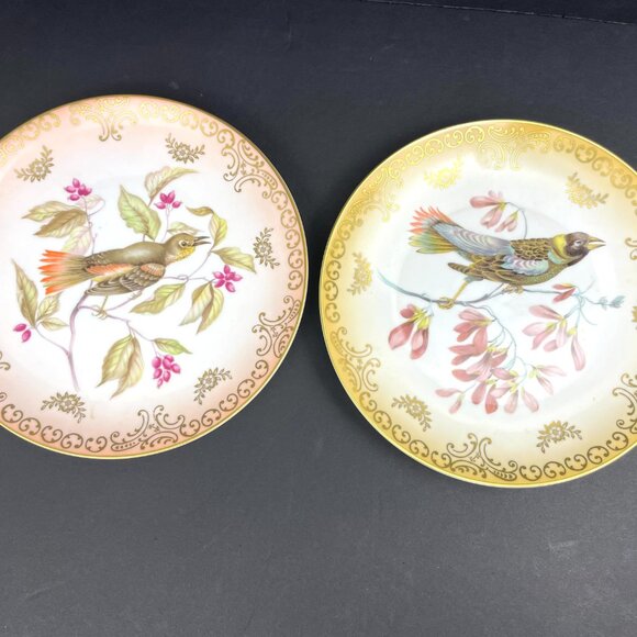 Set 2 Mitterteich Bavaria Germany 7.5" Decorative Bird Plates with Gold Accents - Picture 2 of 12